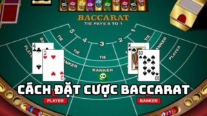cách dặt cược baccarat