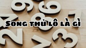 song thủ lô là gì